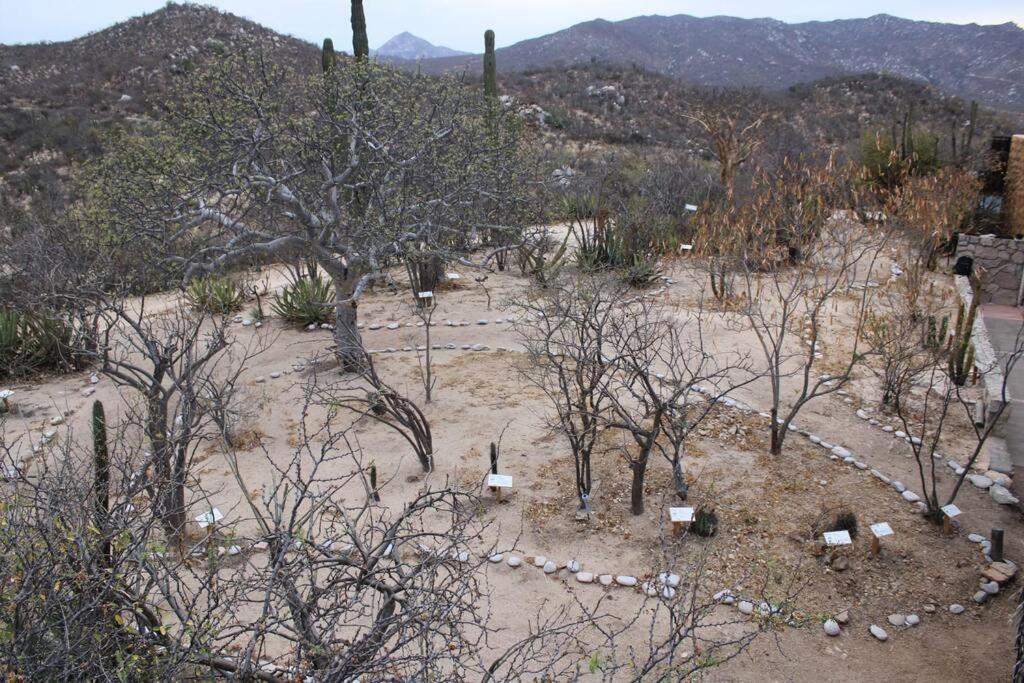 הוילה לה פז Rancho Campestre El Ancon מראה חיצוני תמונה